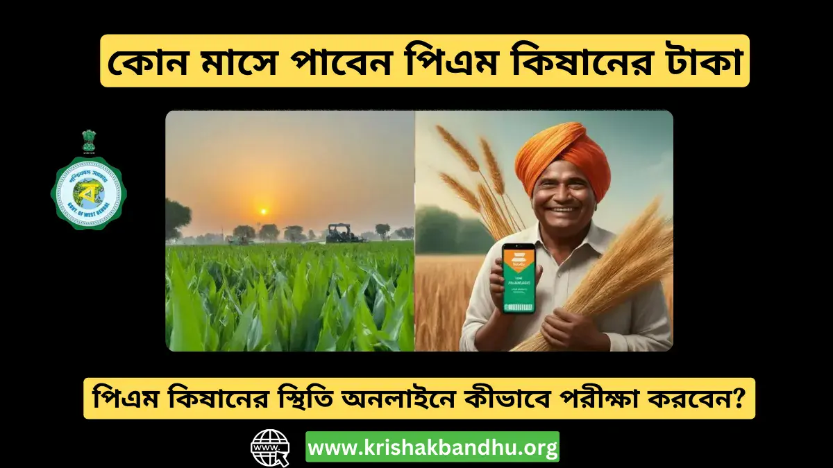 PM Kisan Payment: কোন মাসে পাবেন পিএম কিষানের টাকা, জেনে নিন নির্দিষ্ট তারিখ