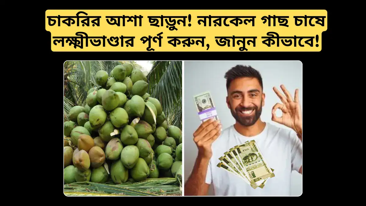 চাকরির আশা ছাড়ুন! নারকেল গাছ চাষে লক্ষ্মীভাণ্ডার পূর্ণ করুন, জানুন কীভাবে!